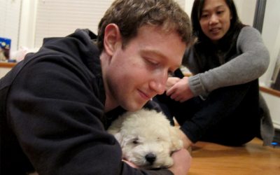 Beast, il cane di Zuckerberg su Facebook
